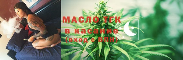 индика Саяногорск
