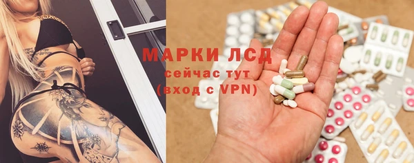 индика Саяногорск
