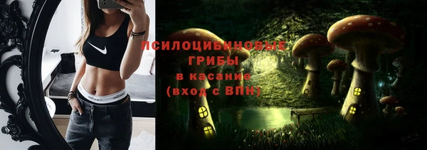 индика Саяногорск