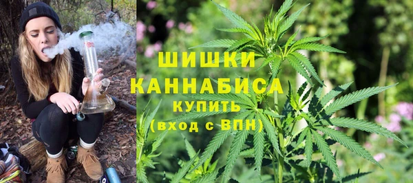 гашик Сафоново