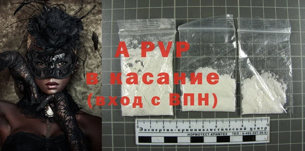 индика Саяногорск