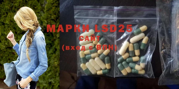 индика Саяногорск