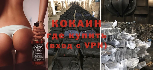 индика Саяногорск