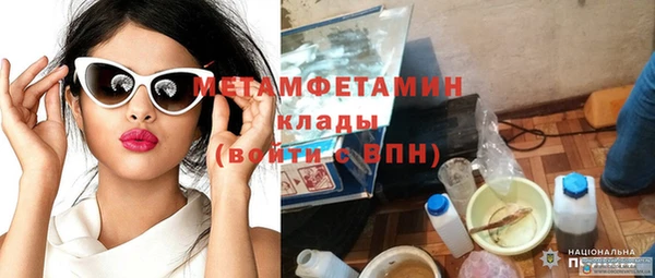 индика Саяногорск