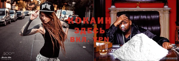 индика Саяногорск