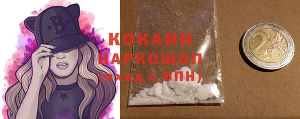 индика Саяногорск